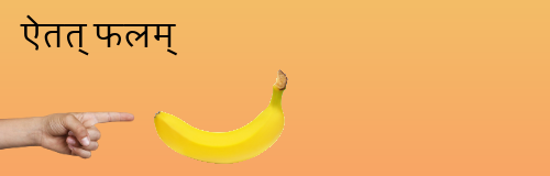 this is a fruit