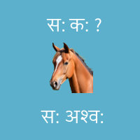 Horse