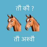 Horse