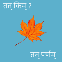 Leaf