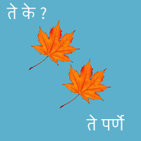 Leaf