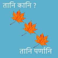 Leaf